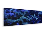 Ljuddämpande tavla - coral reef in blue