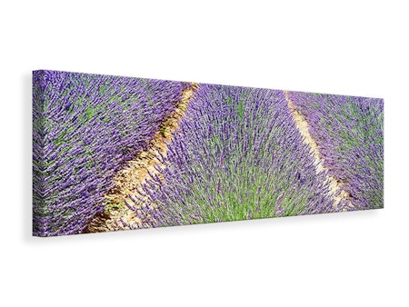 Ljuddämpande tavla - the lavender field