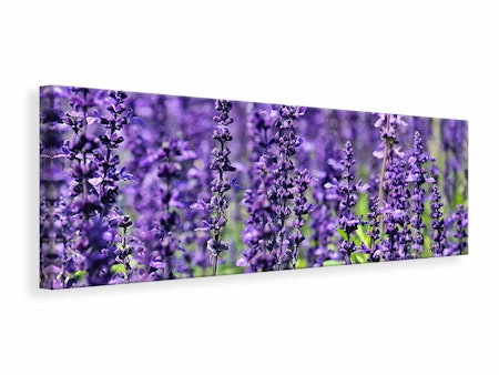 Ljuddämpande tavla - xl lavender