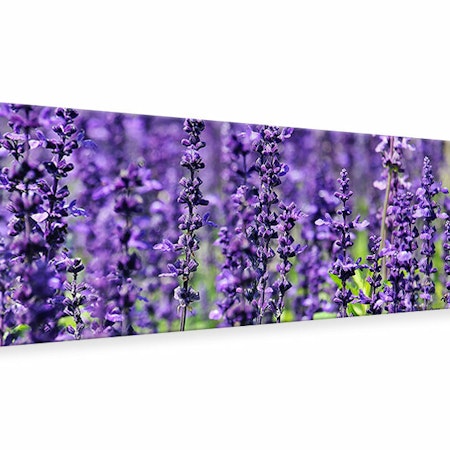 Ljuddämpande tavla - xl lavender