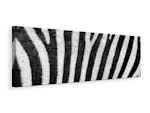 Ljuddämpande tavla - strip of the zebra