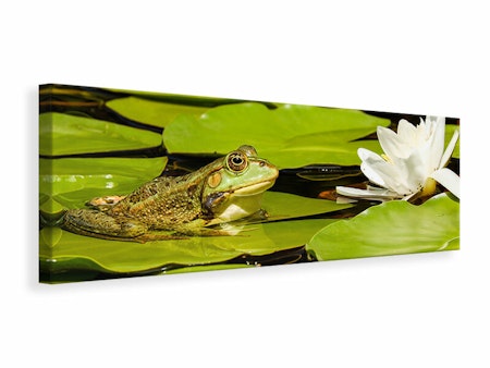 Ljuddämpande tavla - the frog and the water lily