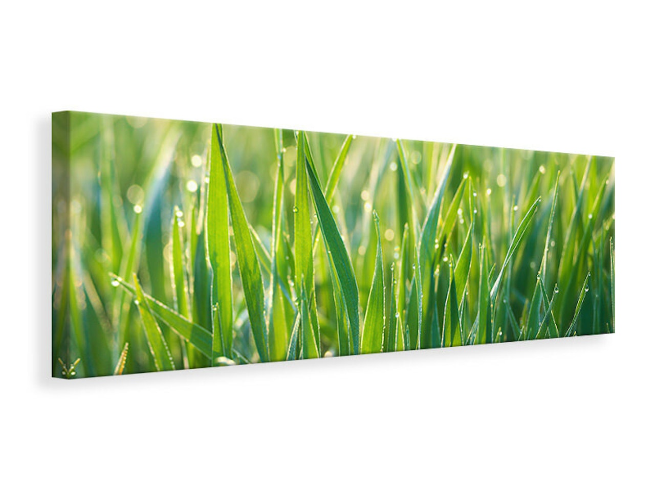 Ljuddämpande tavla - grass with morning dew xl