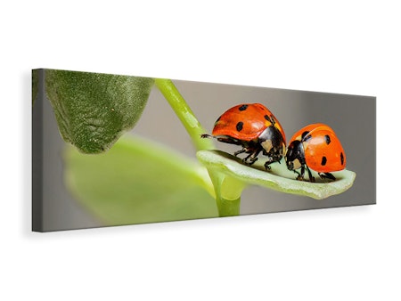 Ljuddämpande tavla - 2 ladybirds