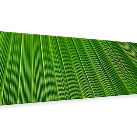 Ljuddämpande tavla - palm stripe i