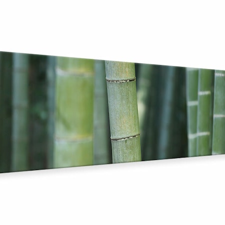 Ljuddämpande tavla - bamboo in xxl