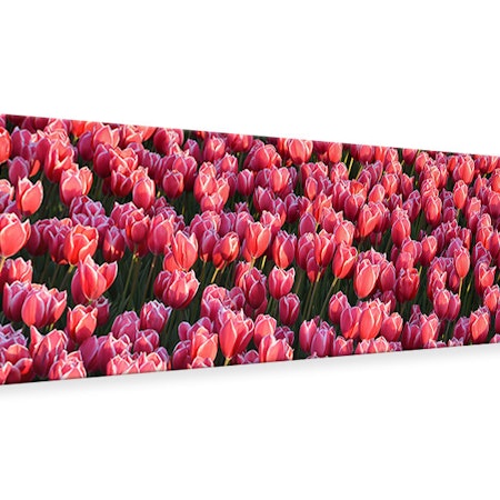 Ljuddämpande tavla - lush tulip field
