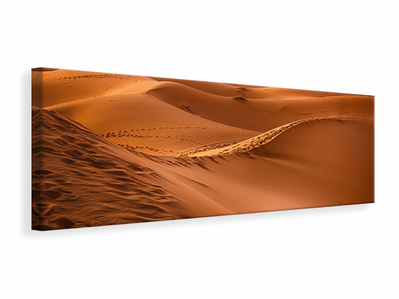 Ljuddämpande tavla - traces in the desert