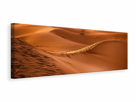 Ljuddämpande tavla - traces in the desert