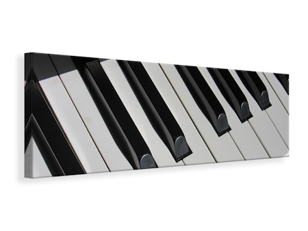 Ljuddämpande tavla - close up piano