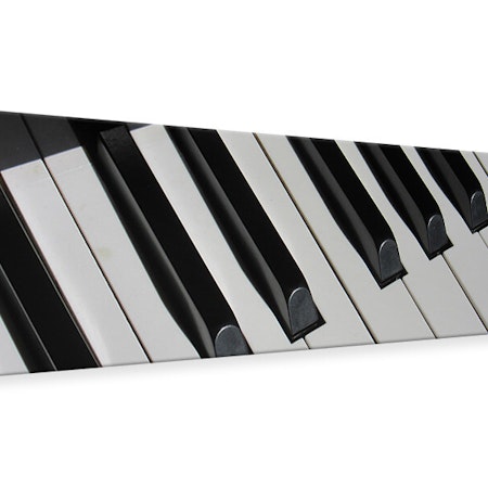 Ljuddämpande tavla - close up piano