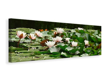 Ljuddämpande tavla - a field full of water lilies