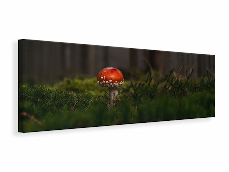 Ljuddämpande tavla - a mushroom in the forest