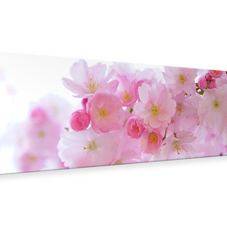 Ljuddämpande tavla - japanese cherry blossom xl