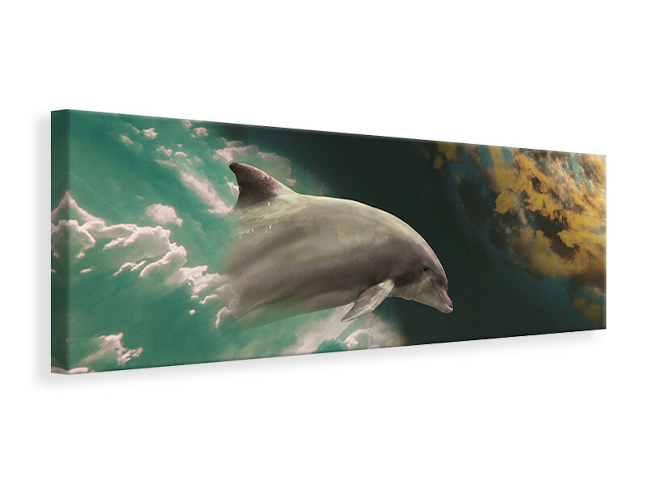 Ljuddämpande tavla - fascination dolphin