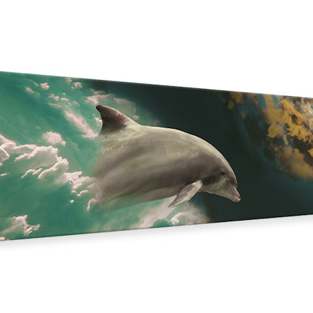 Ljuddämpande tavla - fascination dolphin