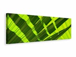 Ljuddämpande tavla - the palm leaf in xl