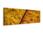 Ljuddämpande tavla - the autumn leaf