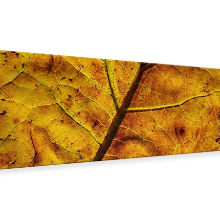 Ljuddämpande tavla - the autumn leaf