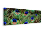 Ljuddämpande tavla - peacock feathers xxl