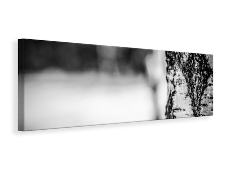 Ljuddämpande tavla - birch trunk