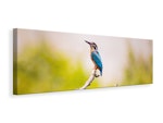 Ljuddämpande tavla - the kingfisher