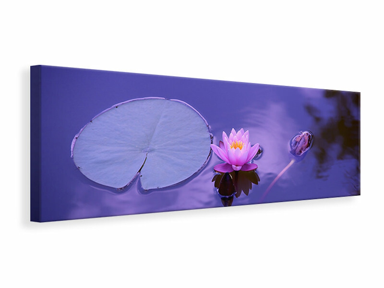 Ljuddämpande tavla -  Lotus flower