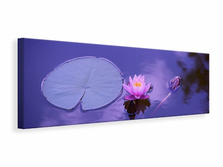 Ljuddämpande tavla -  Lotus flower
