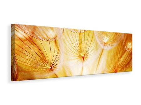 Ljuddämpande tavla -  Close Up Dandelion In Light