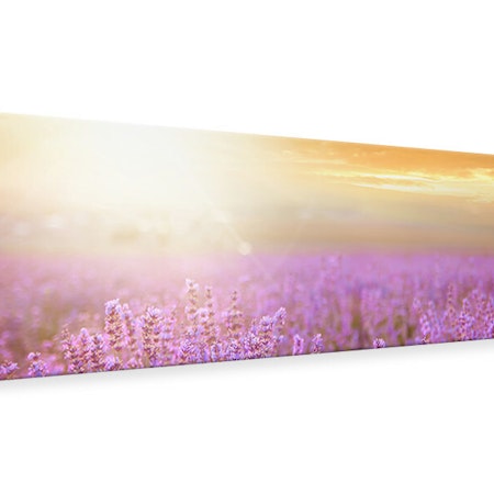 Ljuddämpande tavla -  Sunset In Lavender Field