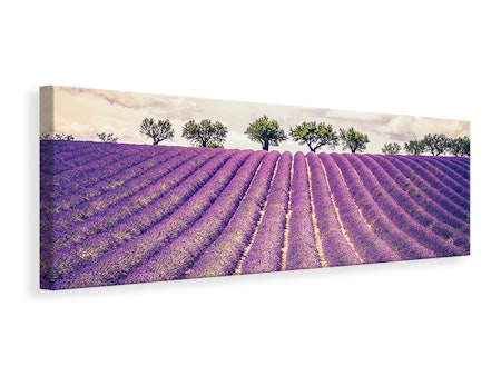 Ljuddämpande tavla -  The Lavender Field