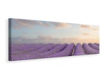 Ljuddämpande tavla -  The Blooming Lavender Field