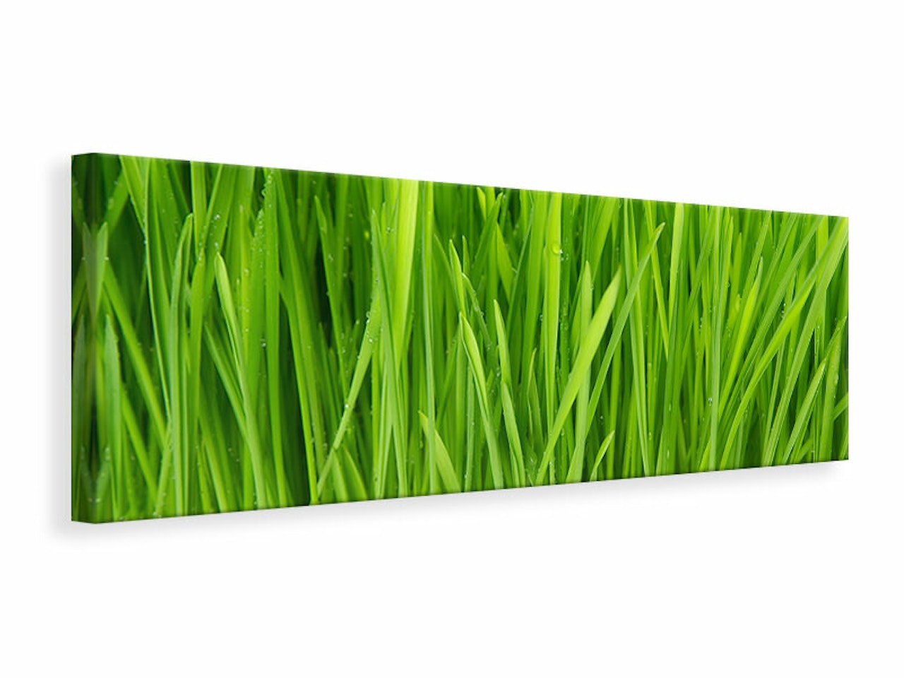 Ljuddämpande tavla -  Grass In Morning Dew