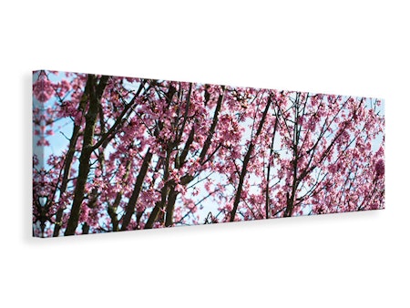 Ljuddämpande tavla -  Japanese Cherry Blossom