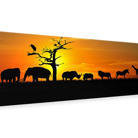 Ljuddämpande tavla -  Safari Animals At Sunset