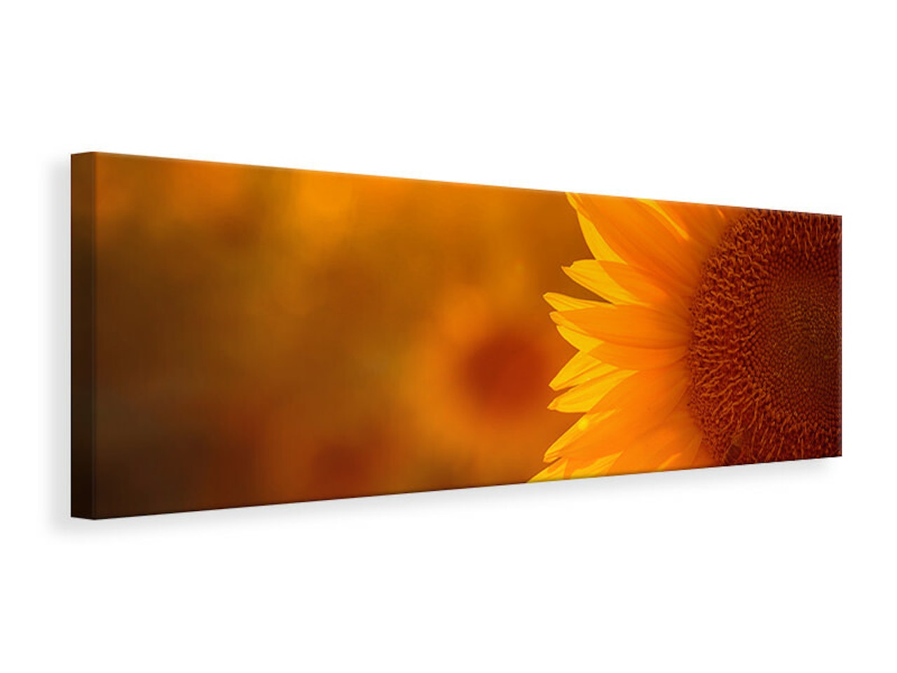 Ljuddämpande tavla -  Macro Sunflower