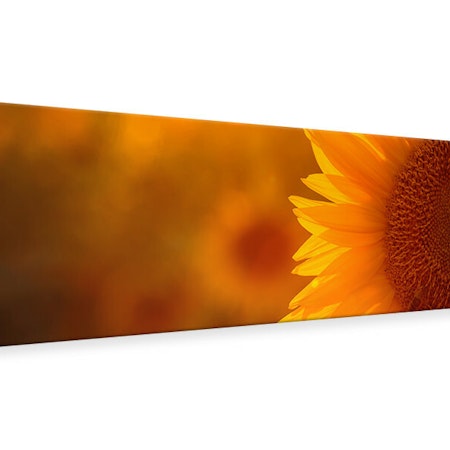 Ljuddämpande tavla -  Macro Sunflower