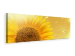 Ljuddämpande tavla -  Sunflower in Morning dew