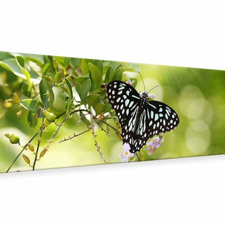 Ljuddämpande tavla -  Papilio Butterfly XXL