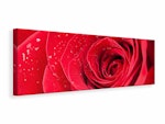 Ljuddämpande tavla -  Red Rose In Morning Dew