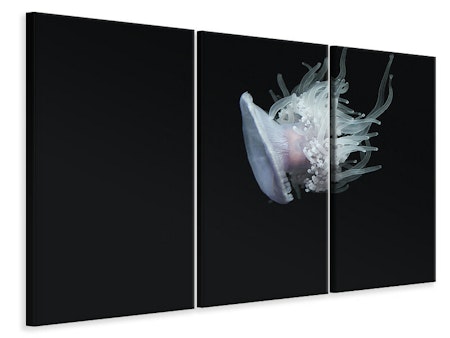 Ljuddämpande tavla -  Fascinating jellyfish XL