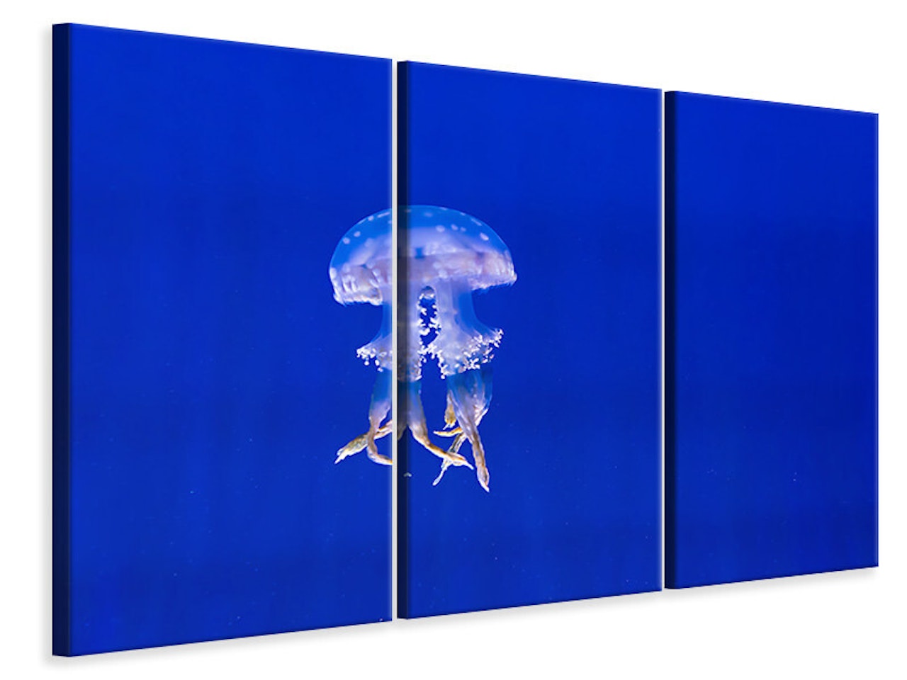 Ljuddämpande tavla -  Glowing jellyfish