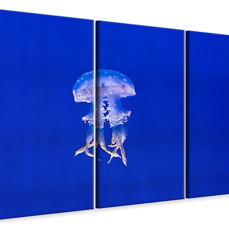 Ljuddämpande tavla -  Glowing jellyfish