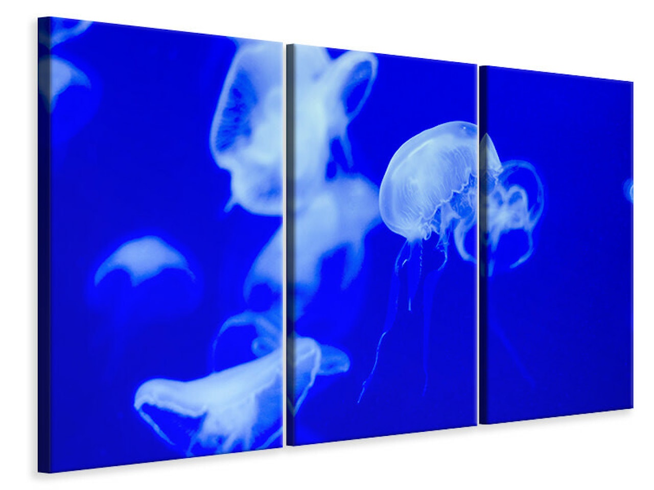 Ljuddämpande tavla -  Floating jellyfish