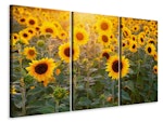 Ljuddämpande tavla -  Sunflower field
