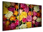 Ljuddämpande tavla -  Many colorful rose petals