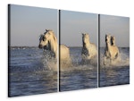 Ljuddämpande tavla -  Horses in the sea