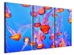 Ljuddämpande tavla -  Colorful jellyfish