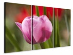 Ljuddämpande tavla -  Tulip pretty in pink