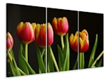 Ljuddämpande tavla -  Colorful tulips